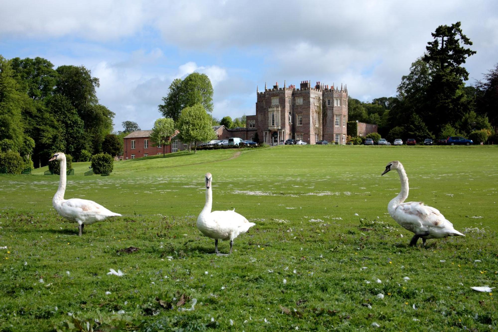 Penzion Donnington Grove Newbury  Exteriér fotografie